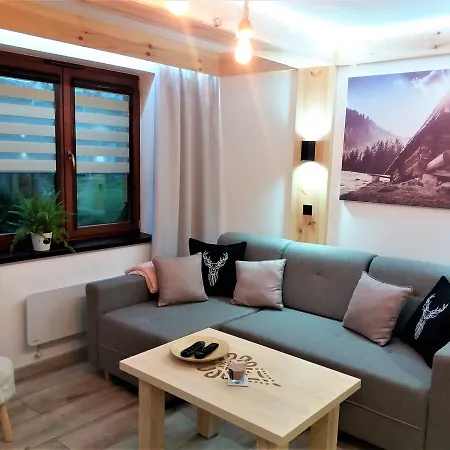 Studio Przy Dolinach Апартаменты Косцелиско