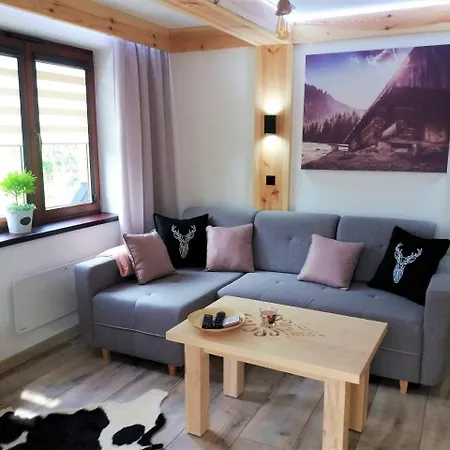 Studio Przy Dolinach Апартаменты