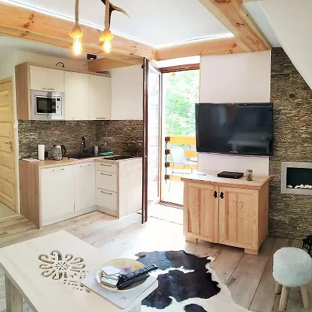 Studio Przy Dolinach Апартаменты *